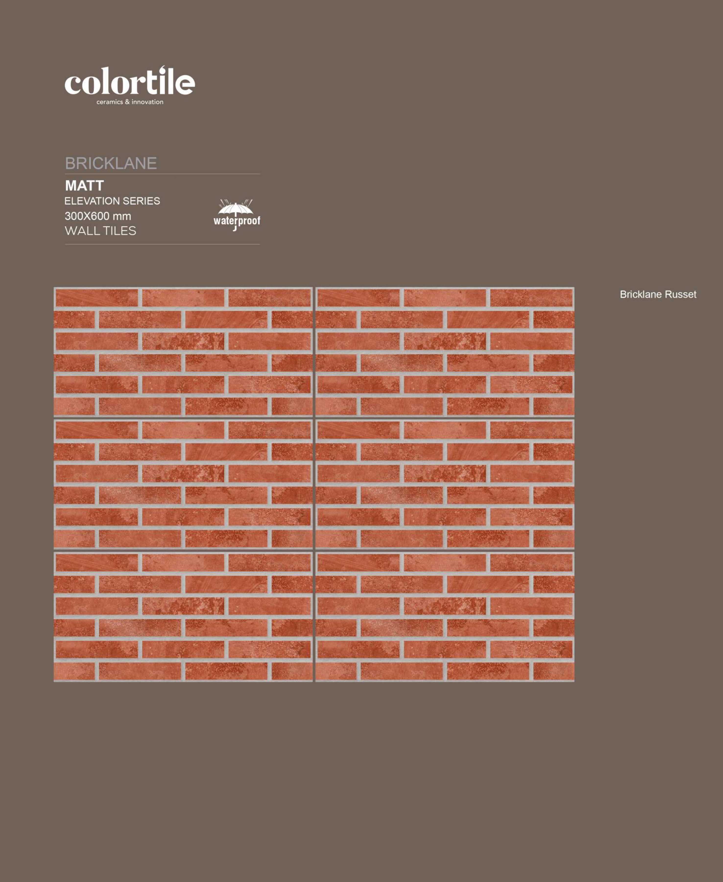 WALL- HEDGE N BRICKS
