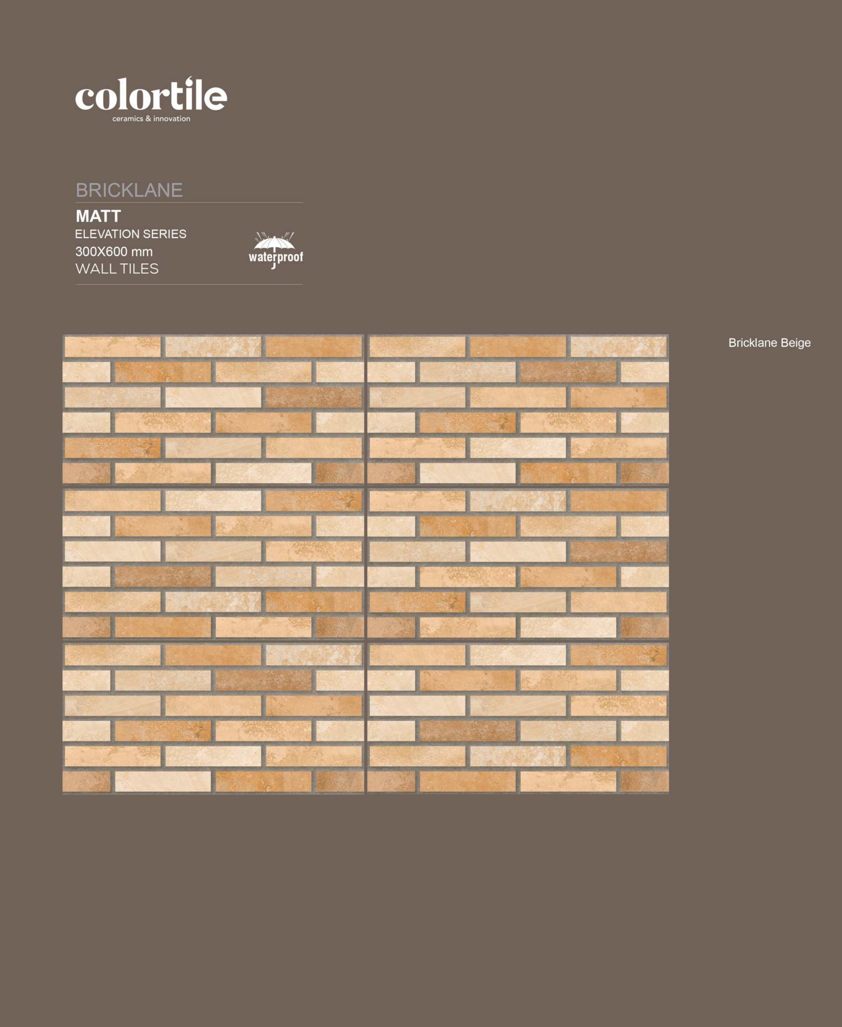 WALL- HEDGE N BRICKS