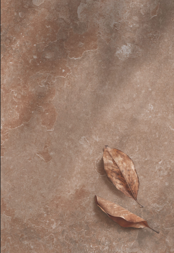 Rocklin Series