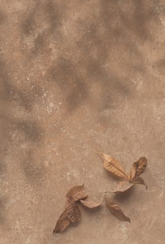 Clayric Series